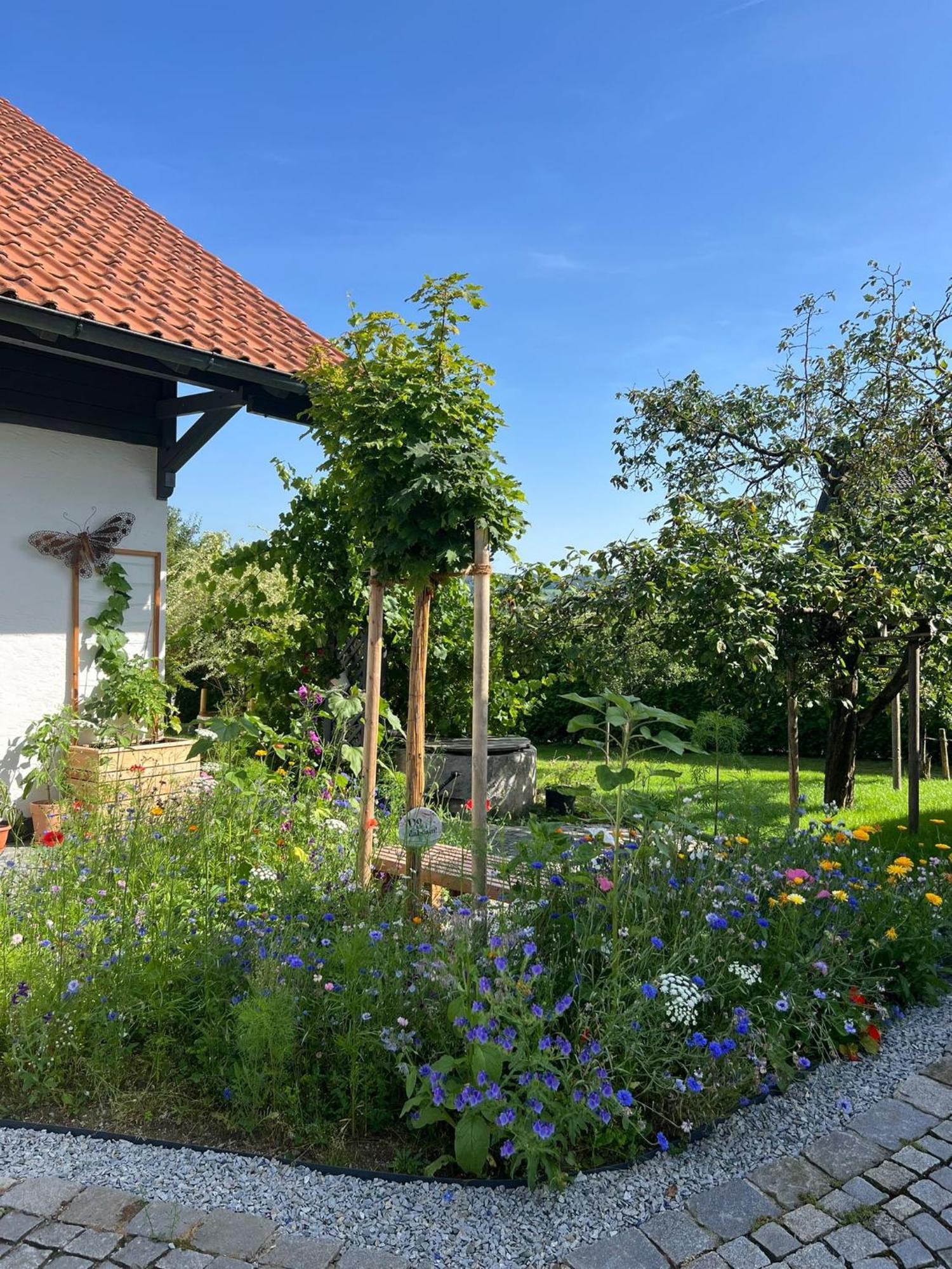 Ferienwohnung Anita Jandelsbrunn Buitenkant foto